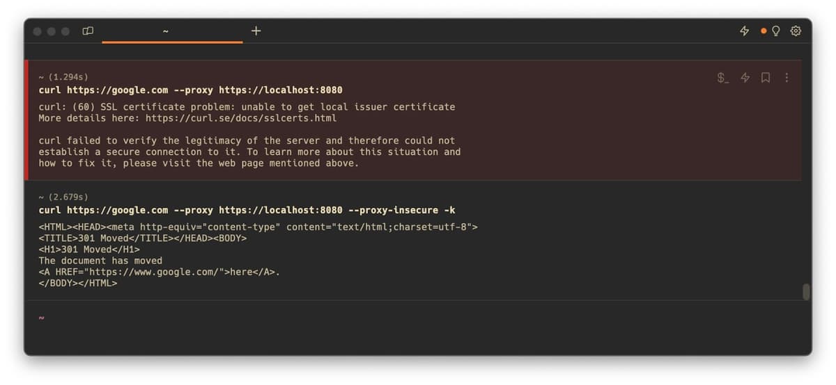 Warp: Ignoring SSL Certificate Issues with cURL