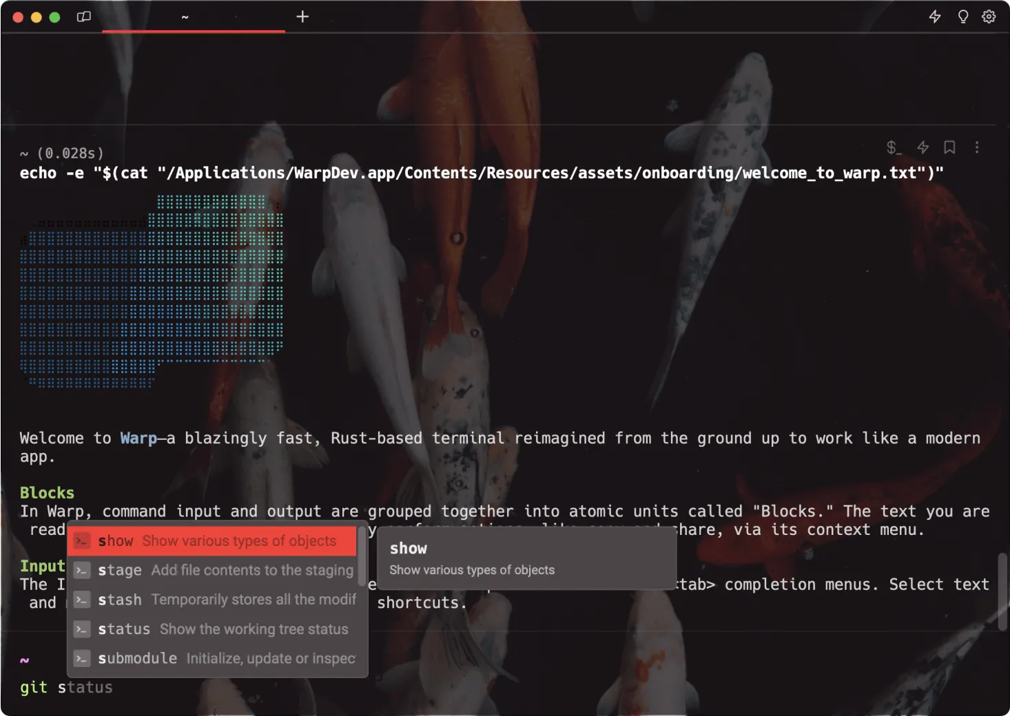 Warp running the Koi theme